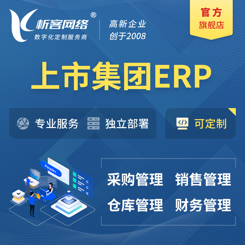 日本上市集团ERP软件生产MES车间管理系统